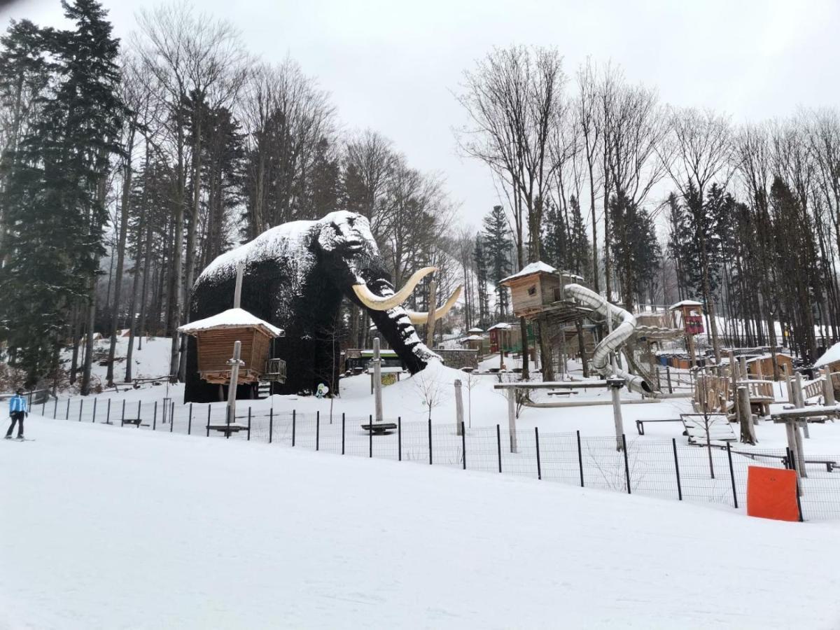 Apartman Pod Sjezdovkami Dolní Morava Exteriör bild